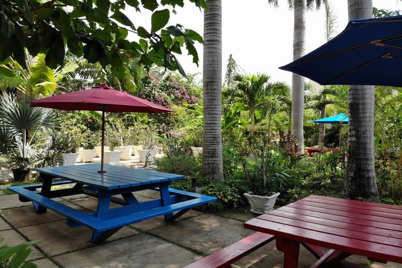 Negril Palms Ξενοδοχείο Εξωτερικό φωτογραφία