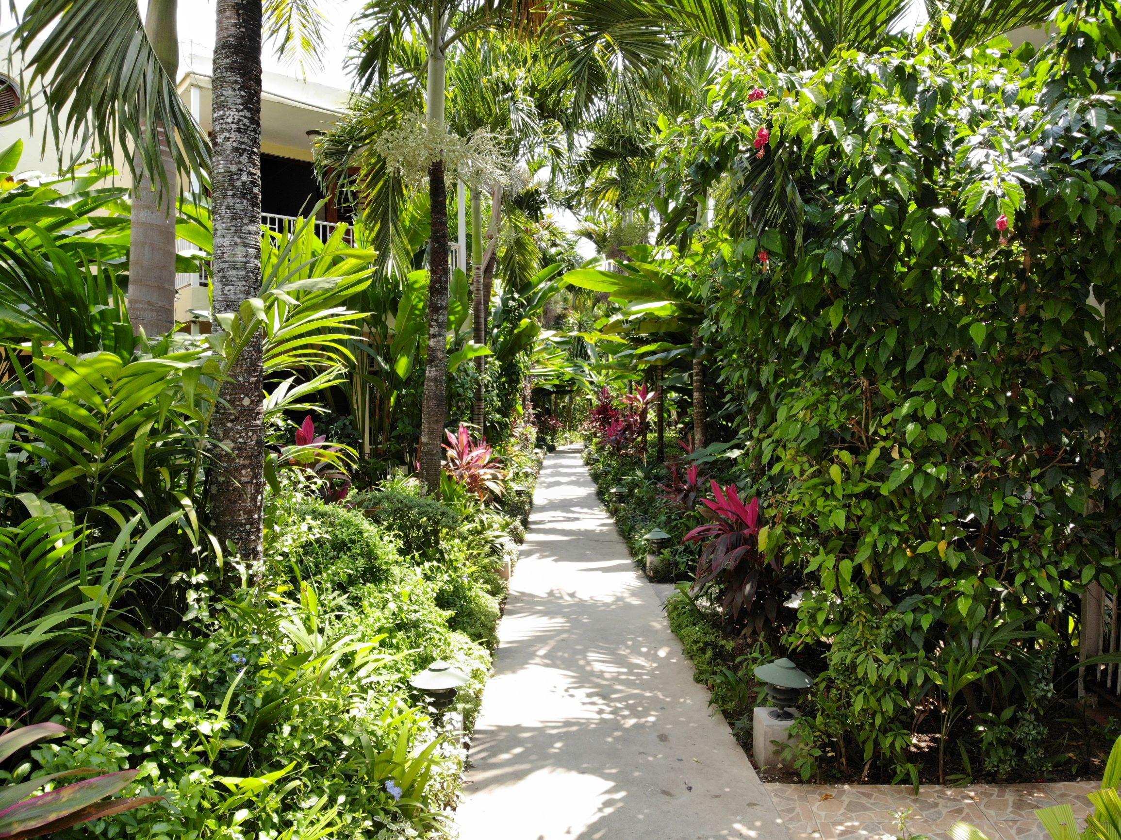 Negril Palms Ξενοδοχείο Εξωτερικό φωτογραφία