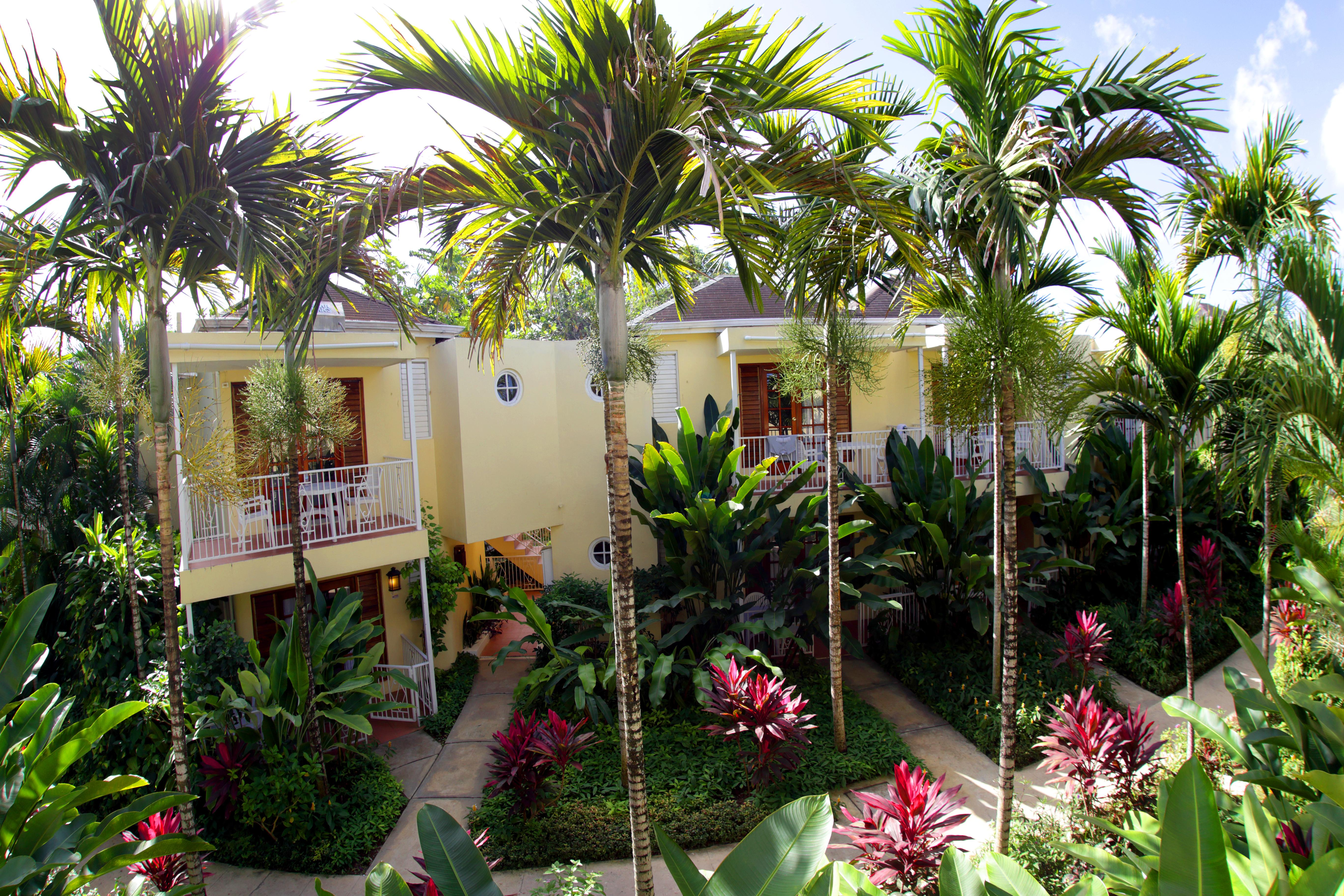 Negril Palms Ξενοδοχείο Εξωτερικό φωτογραφία